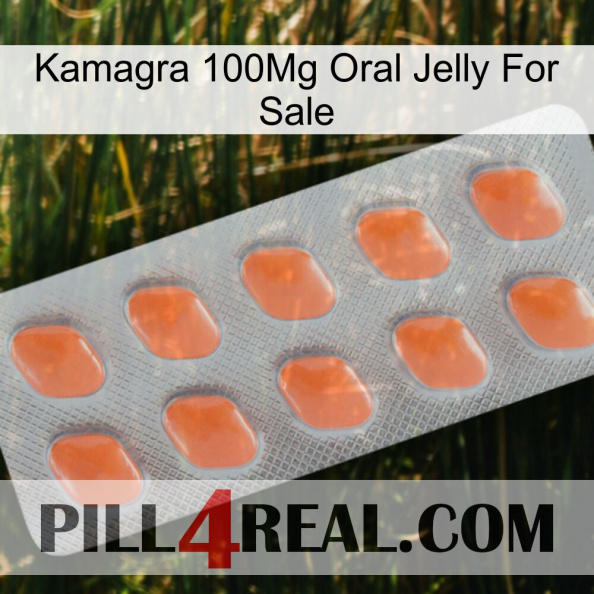 Kamagra 100Mg Oral Jelly For Sale 26.jpg